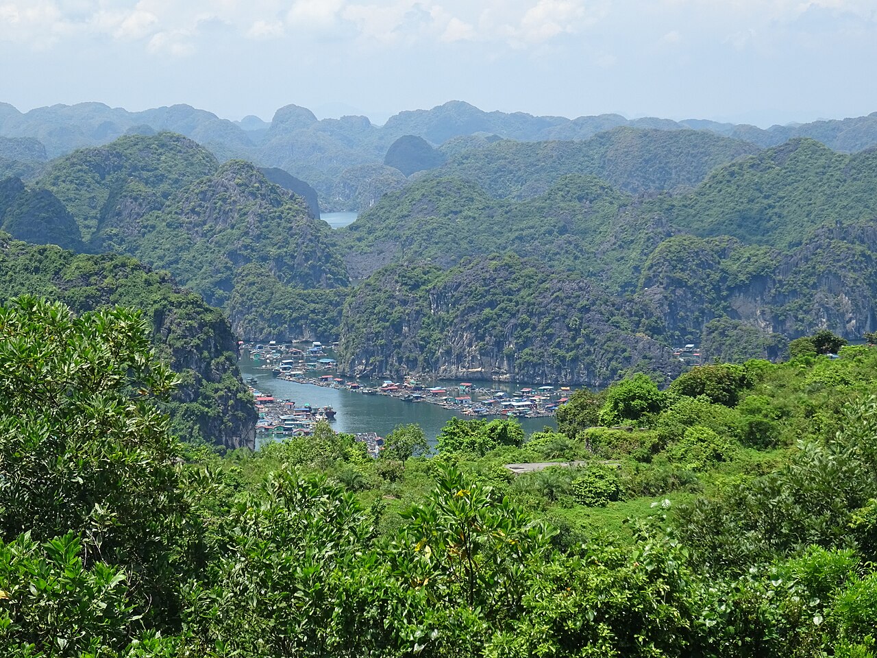 Modern panoramic view of Cai Beo floating village