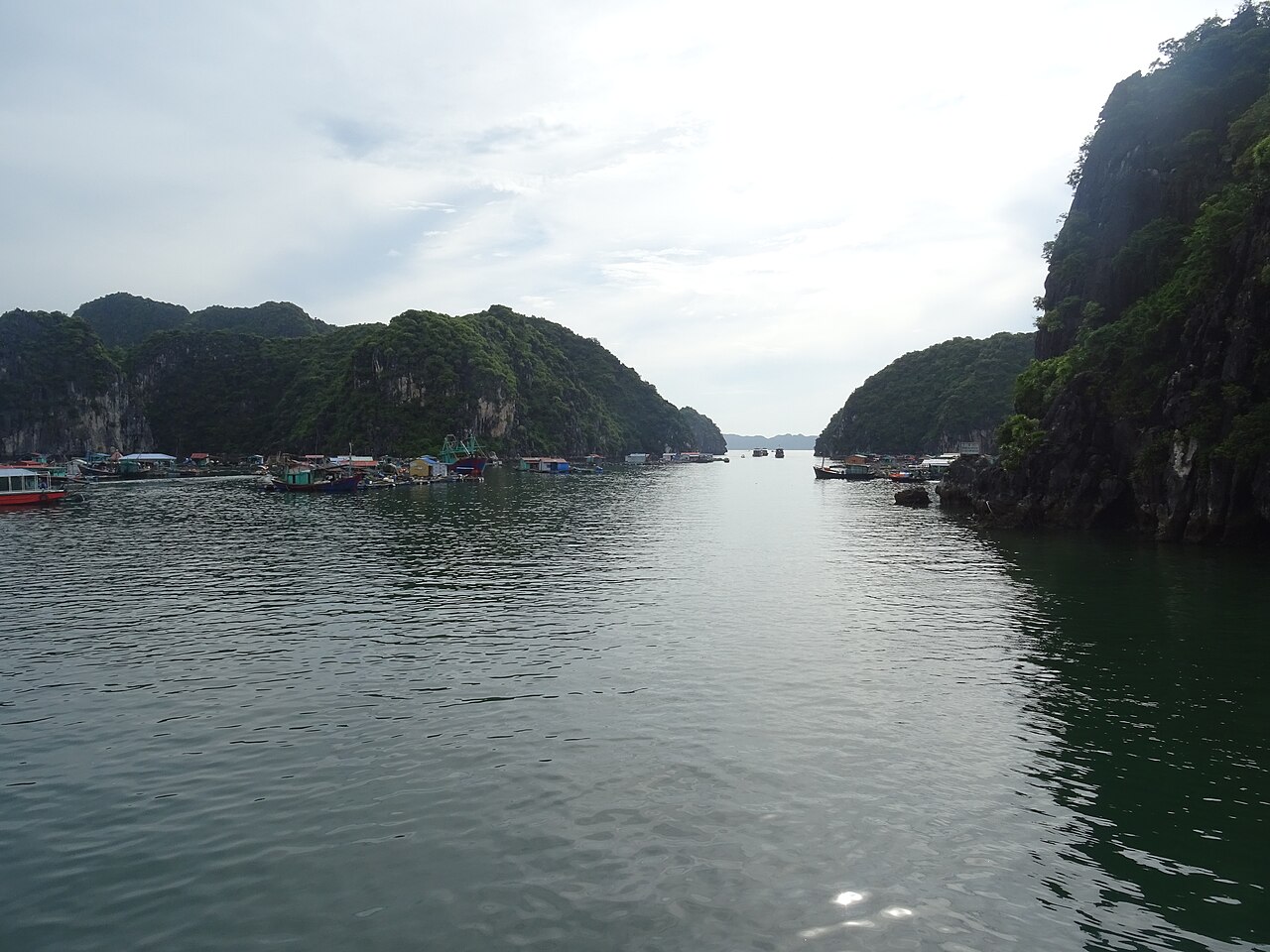 Cai Beo floating community between limestone islands in 2018