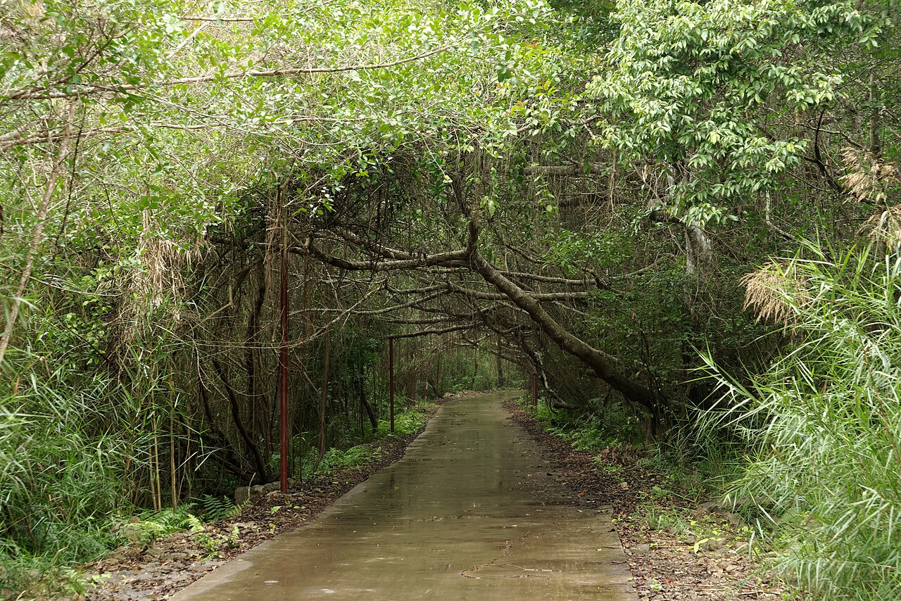 Green road near Viet Hai village in the Cat Ba island interior