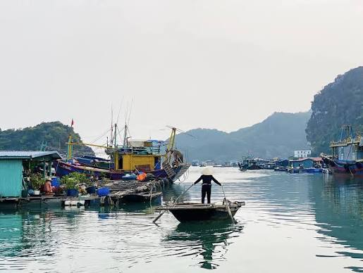 Người đứng trên thuyền nhỏ giữa các bè nổi và thuyền đánh cá