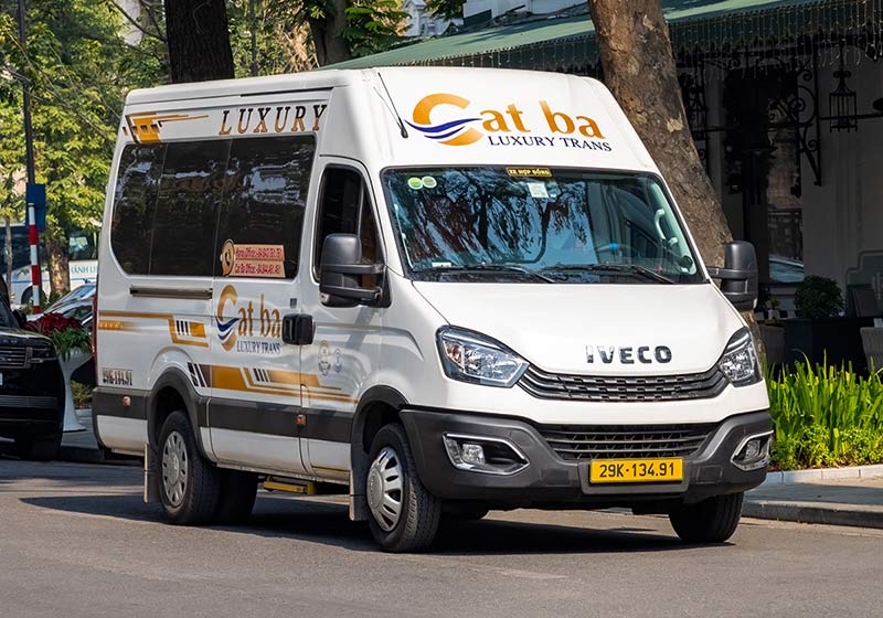 Limousine van