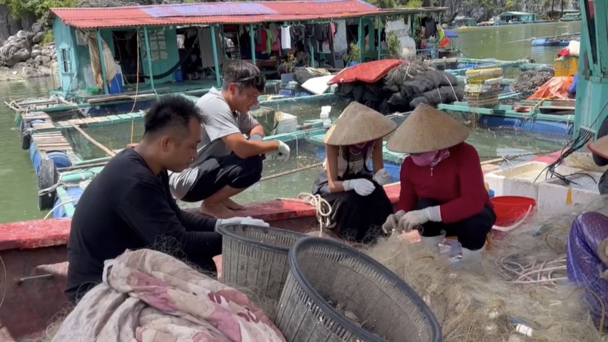 Local residents and guests sorting fishing nets