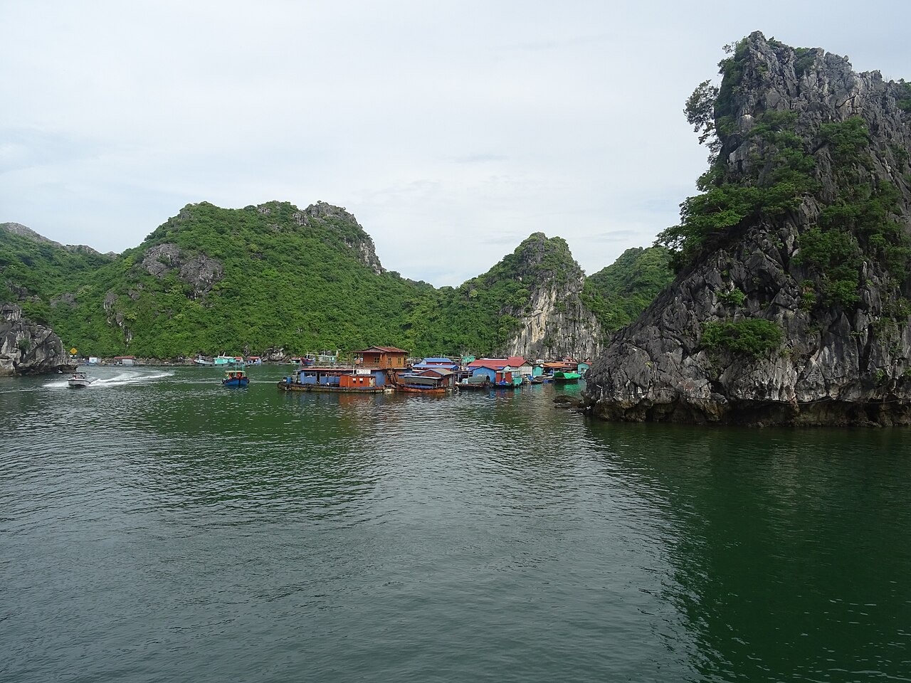 Cai Beo floating homes photographed from a distance in 2018
